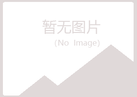 鹤岗南山书蕾机械有限公司